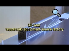 Εργοστασιακή Ψησταριά Teppanyaki - Αφαίρεση Λίπους 95% & Προσαρμοσμένα Σχέδια